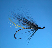 Sea Trout Fly