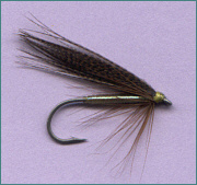 Sea Trout Fly