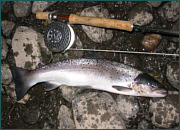 Sea Trout Fly Fishing