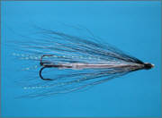 Needle Tube Fly