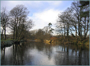 River Sea Trout Fishing