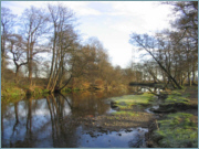 River Sea Trout Fishing