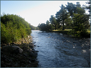 River Sea Trout Fishing