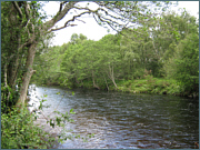 River Sea Trout Fishing in Wales