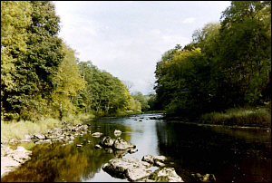 Sea Trout River