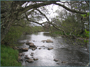 River Sea Trout Fishing