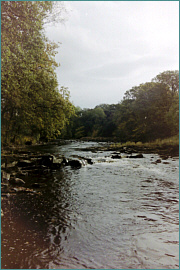 River Sea Trout Fishing