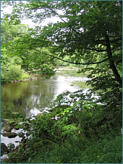 River Sea Trout Fishing