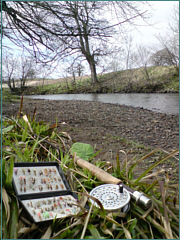 River Sea Trout Fishing