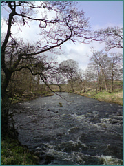 River Sea Trout Fishing