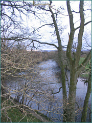 River Sea Trout Fishing