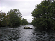 River Sea Trout Fishing