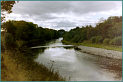 River Sea Trout Fishing