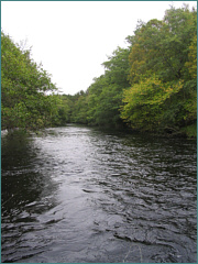 River Sea Trout Fishing