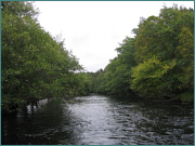 Sea Trout Fishing