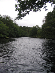 River Sea Trout Fly Fishing