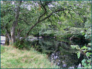 River Sea Trout Fishing