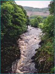 River Sea Trout Fishing