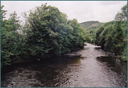 River Sea Trout Fishing in Wales