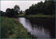 Sea Trout River Fishing