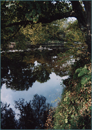 River Sea Trout Fishing in Wales