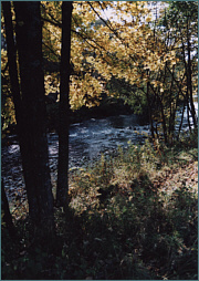 River Sea Trout Fishing