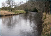 River Sea Trout Fishing