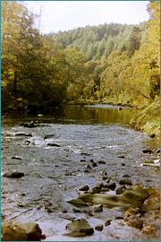 River Ribble Sea Trout Fishing