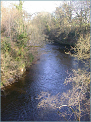 River Sea Trout Fishing