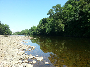 Low water on the River Tyne