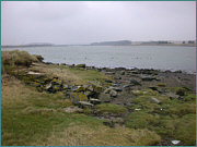 River Ythan Estuary Sea Trout Fishing