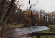 River Endrick Sea Trout Fishing