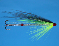 Snake Needle Tube Fly