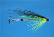 A Needle Tube Fly