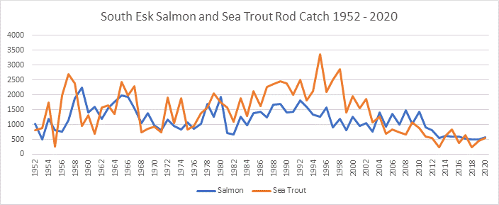 South Esk salmon and sea trout catches