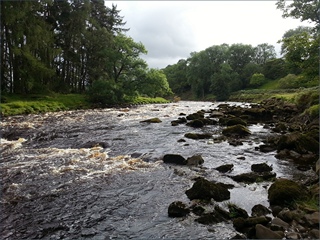 The River South Tyne