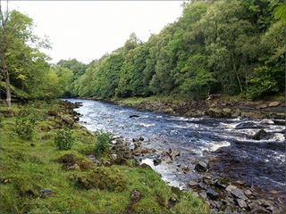 The River South Tyne