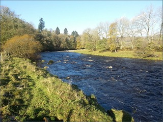 The River South Tyne