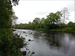 The River South Tyne