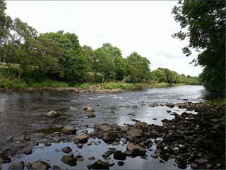 The River South Tyne