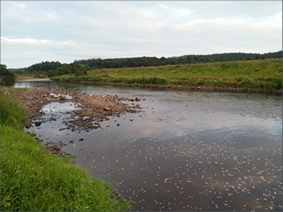 The River South Tyne