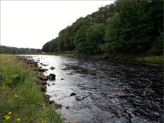 The South Tyne