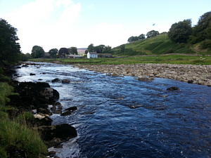 River Tyne Sea Trout Fishing